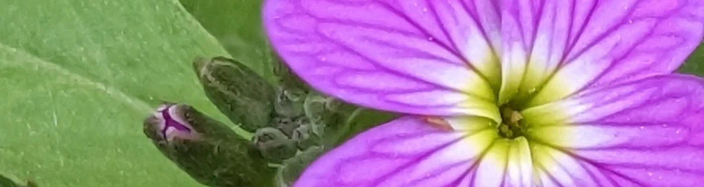 refund and returns policy