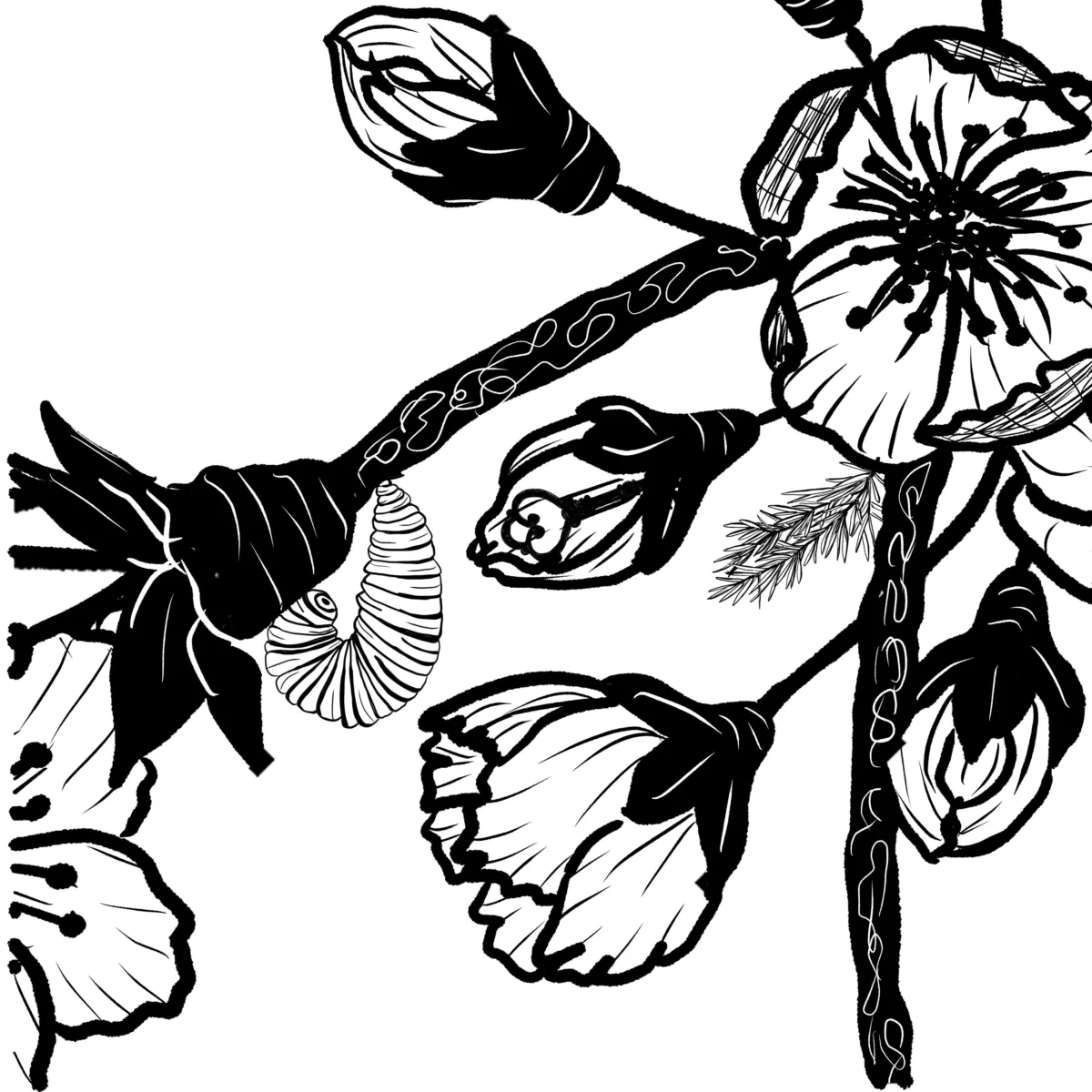 Cherry Blossom Inspiration | Botanical Line Art Print | Hidden Object Floral Wall Art | 8x8