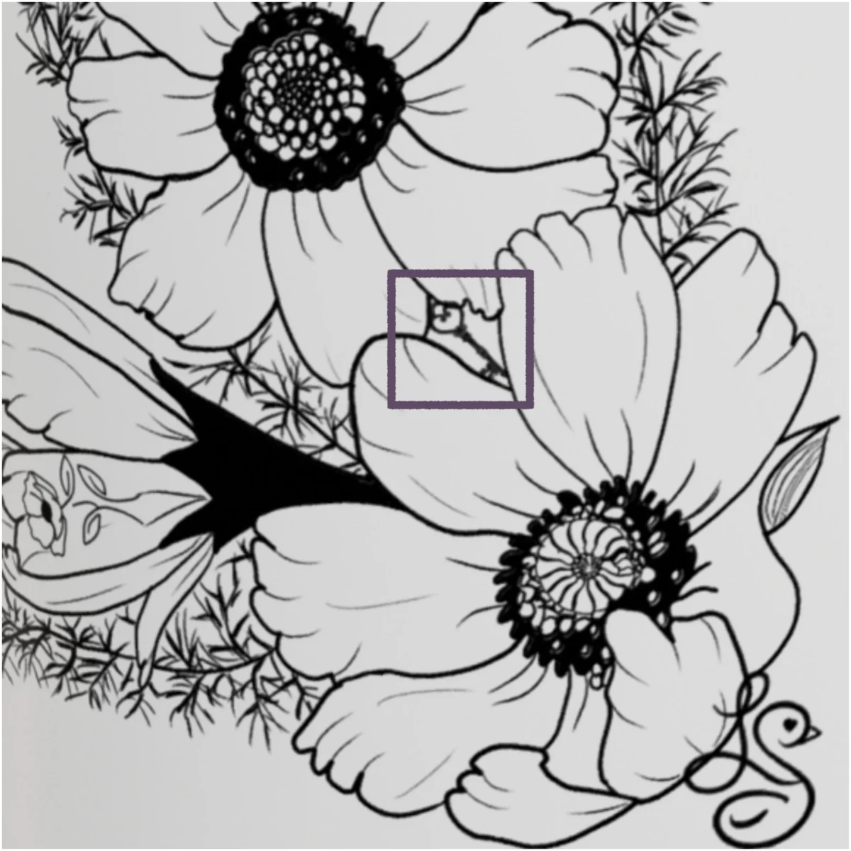 Cosmos Inspiration | Botanical Line Art Print | Hidden Object Floral Wall Art | 8x8