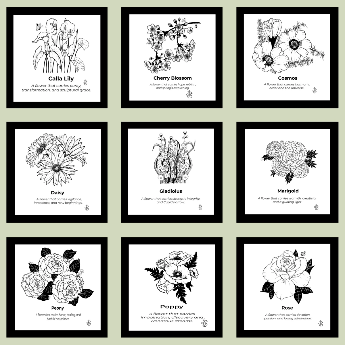 Cosmos Inspiration | Botanical Line Art Print | Hidden Object Floral Wall Art | 8x8