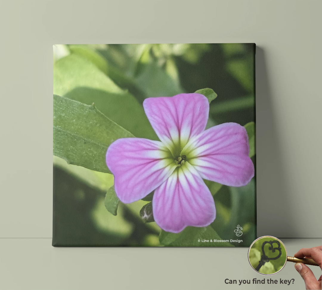 virginia-stock-pink-macro-photography-giclee-watercolor-art-board-line-and-blossom-10x10-B virginia stock