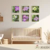 Complete set of the Virginia Stock flower photography hung together. Original photography by Leona Smith