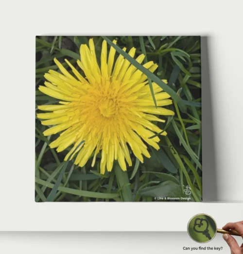 dandelion-macro-photography-giclee-watercolor-art-board-line-and-blossom-10x10-shelf dandelion art print