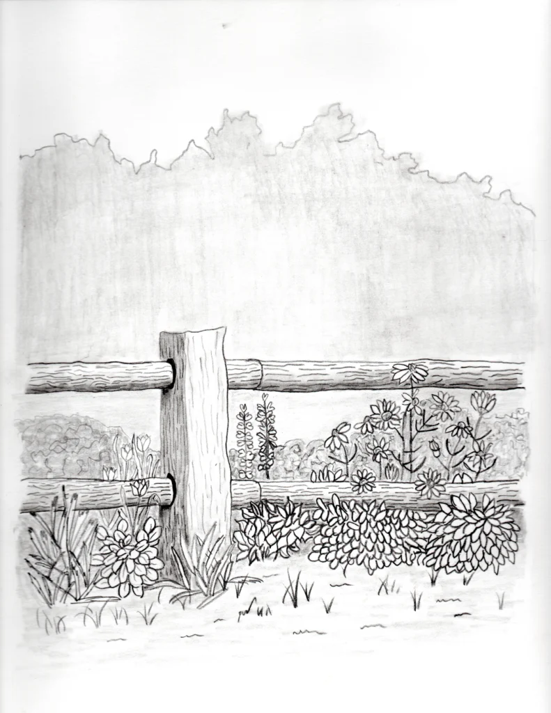 the pencil drawing that inspired Fieldside After Dark