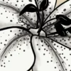 Lily Behind the Veil | Botanical Lily Print | 11x14 Giclée Archival Print | Line & Blossom Design