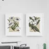 Behind The Veil Lily & Magnolia framed and hanging in a medical office