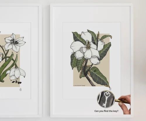 magnolia-behind-the-veil-fine-art-archival-print-hidden-object-line-and-blossom-hero botanical magnolia print