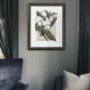 Magnolia Behind the Veil | Botanical Magnolia Print | 11x14 Giclée Archival Print | Line & Blossom Design
